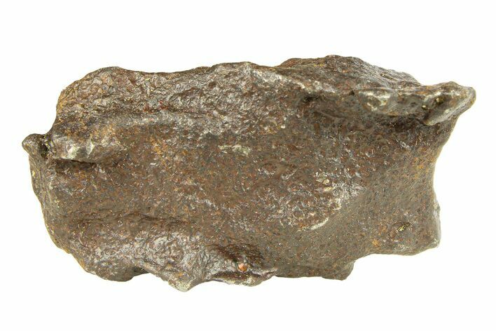 Gebel Kamil Iron Meteorite Fragment ( g) - Egypt #291814